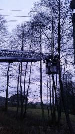 Drzewo oparte na przewody elektryczne